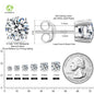 VVS Moissanite Fully Customizable Men's Stud 925 Silver Earrings 4MM-7.5MM